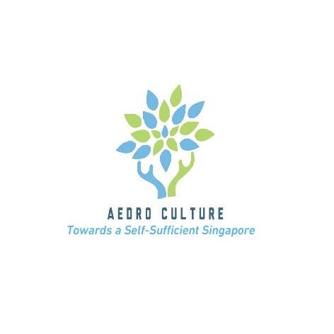 Aedro Culture