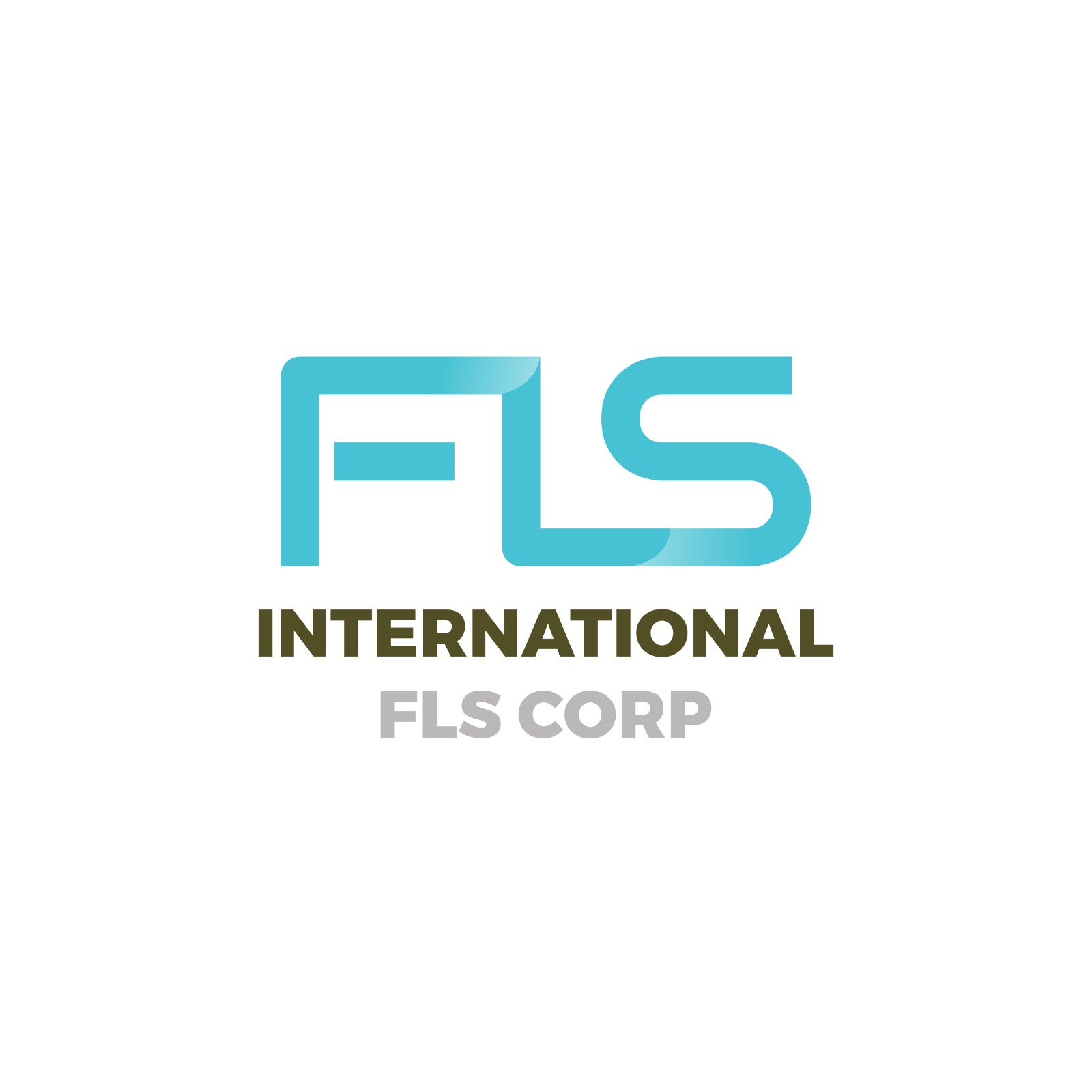 International FLS Corp